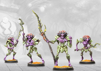 Weaver Courts - Morrowen